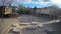 Vignette