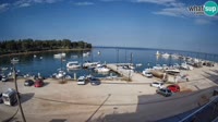 Savudrija - Marina