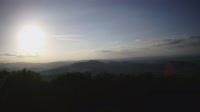 Vignette