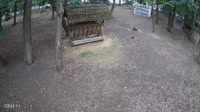 Vignette