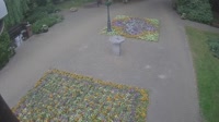 Vignette