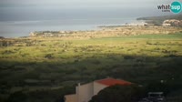 Pag - Kolan - Gligora Cheese Factory