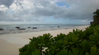 Zanzibar - Plage de Jambiani