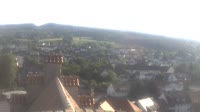 Markdorf - Bociany