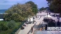 Miniaturansicht