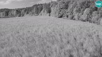 Medvode - Bonovec