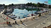 Cittanova - Mandrač