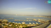 Roses - Port