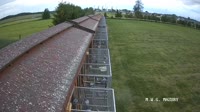Popowo - Międzynarodowy Wspólny Gołębnik Mazury
