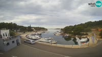 Trebocconi - Sovlje Marina