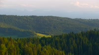 Miniatiūra