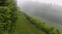 Vignette