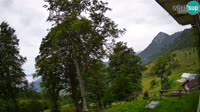 Tolminske Ravne - Planina Razor - Migovec