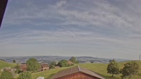 Root - Panoramic view