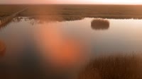 Parco nazionale di Doñana - Caño de Rosalimán