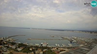 Roses - Porto