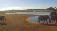 Voi - Tsavo-East-Nationalpark