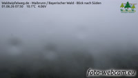 Maibrunn - Waldwipfelweg - Foresta Bavarese