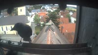 Neresheim - Marienplatz