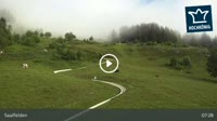 Saalfelden - Sommerrodelbahn