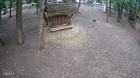 Miniaturansicht
