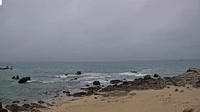 Vignette