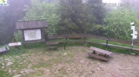 Vignette