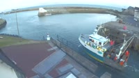 Saint-Vaast-la-Hougue - Uostas