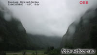 Vignette
