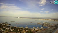 Roses - Porto