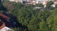 Miniatiūra