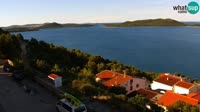 Poschiane - Drage