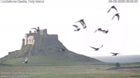 Holy Island - Lindisfarne Castle