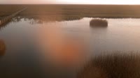 Parco nazionale di Doñana - Caño de Rosalimán