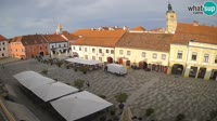Miniatura