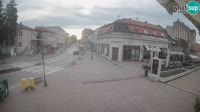 Miniatura