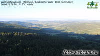 Maibrunn - Waldwipfelweg - Forêt bavaroise