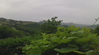 Chiesanuova