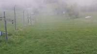 Miniaturansicht