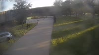 Mehrere Webcams