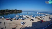 Savudrija - Marina