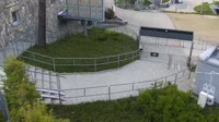 Miniatiūra
