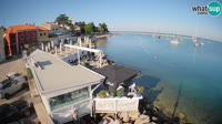 Cittanova - Porporela