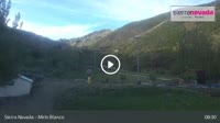 Sierra Nevada - Mirlo Blanco