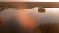 Nationalpark Coto de Doñana - Caño de Rosalimán