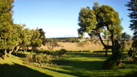 Stellenbosch - Raithby - Eikendal Vineyards