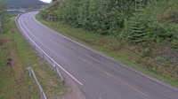 Ørnes - Fv. 17 Torsvika