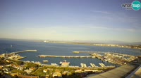 Roses - Porto