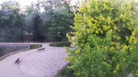 Graduation towers
