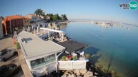 Novigrad - Porporela